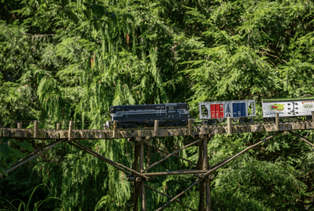 Fernwood Botanical Garden & Nature Preserve image 4