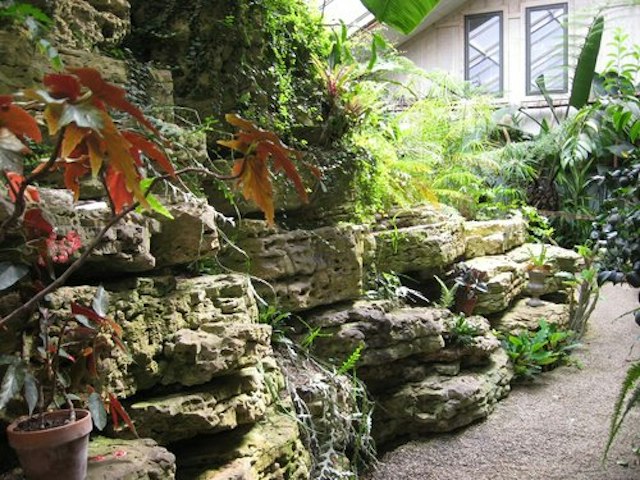 Fernwood Botanical Garden & Nature Preserve image 12