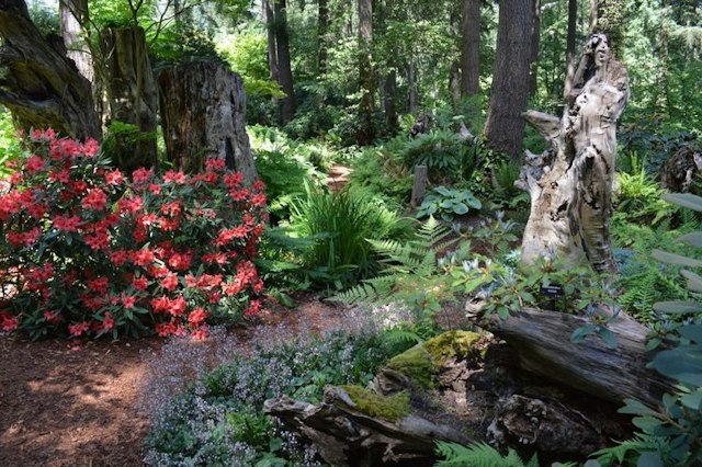 Fernwood Botanical Garden & Nature Preserve image 15