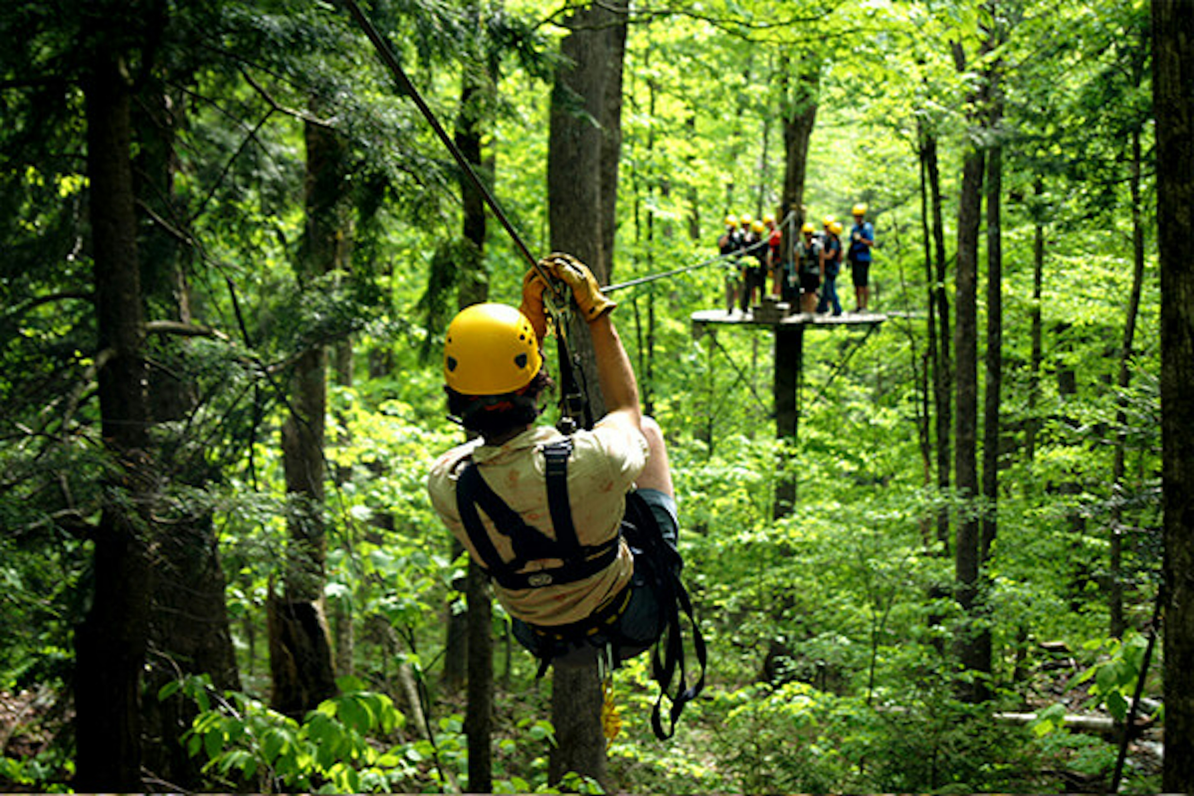 Arbortrek Canopy Adventures, photo