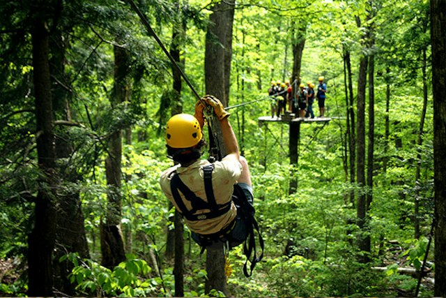 Arbortrek Canopy Adventures image 1