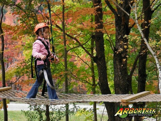 Arbortrek Canopy Adventures image 5