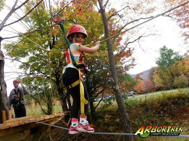 Arbortrek Canopy Adventures image 4