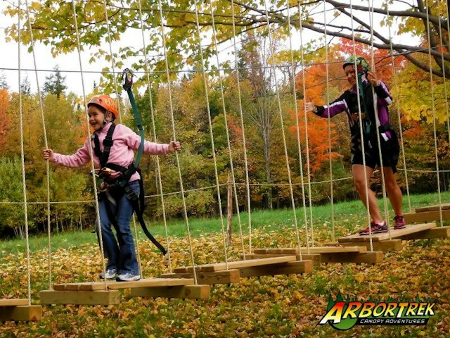 Arbortrek Canopy Adventures image 9