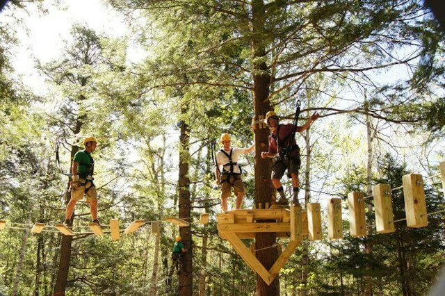 Arbortrek Canopy Adventures image 6