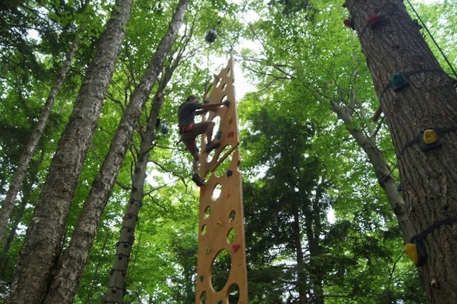 Arbortrek Canopy Adventures image 8