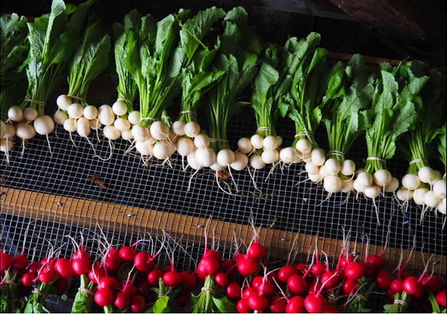 Stowe Farmer's Market image 2