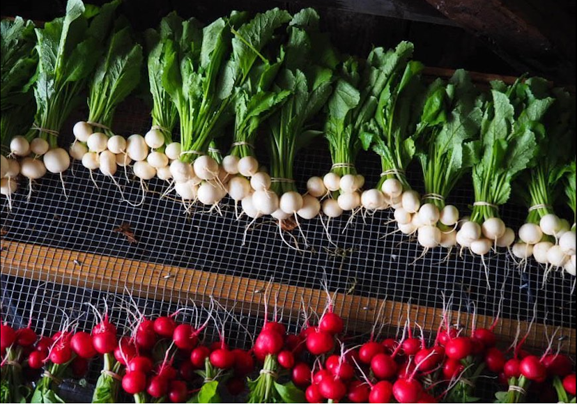 Stowe Farmer's Market image 2