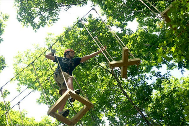 Arbortrek Canopy Adventures image 10