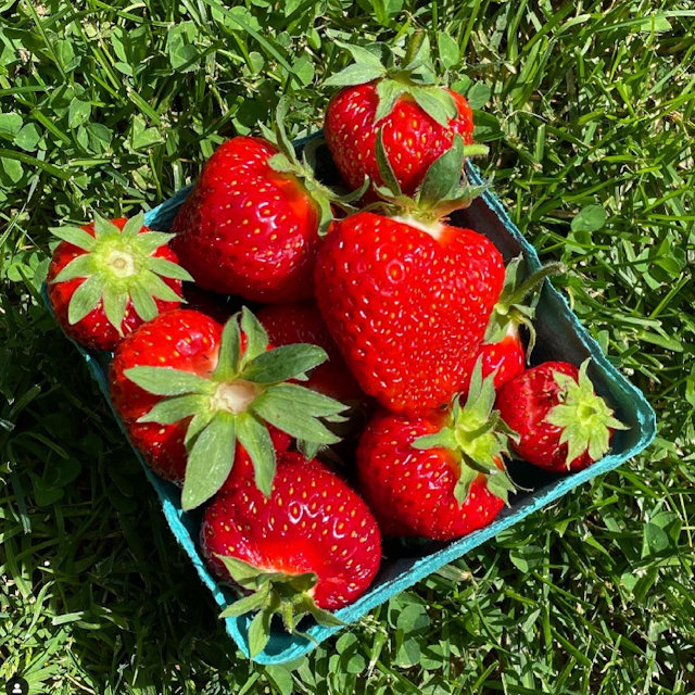 Stowe Farmer's Market image 5