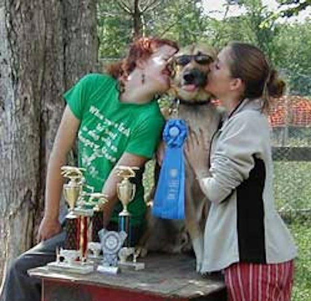 Eden Ethical Dogsledding image 6