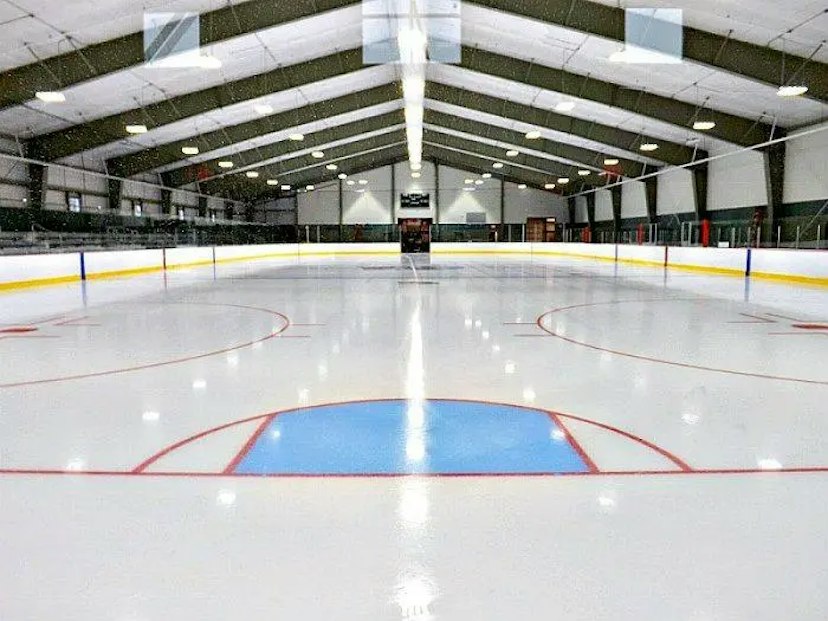 Stowe Arena image 1