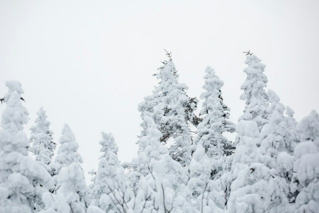 Stowe Mountain Resort - Winter image 5