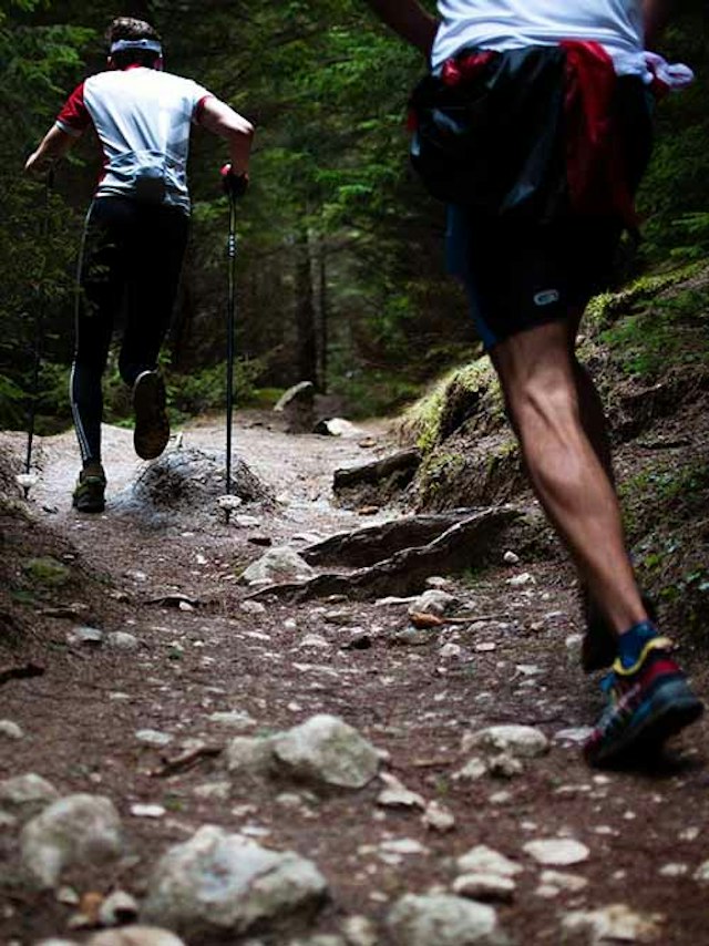 Sunrise Mountain Guides image 2