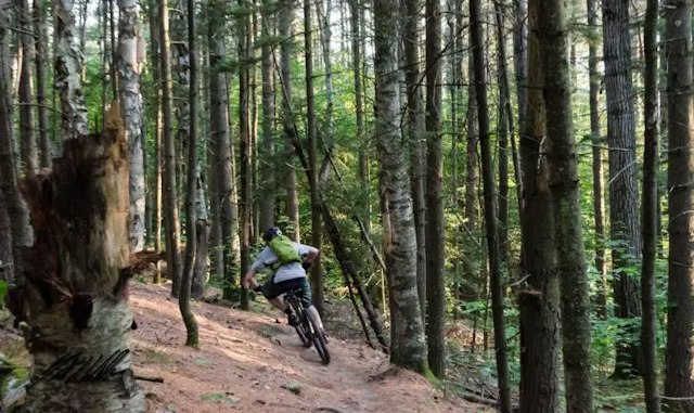 4 Points Vermont - Tours image 7