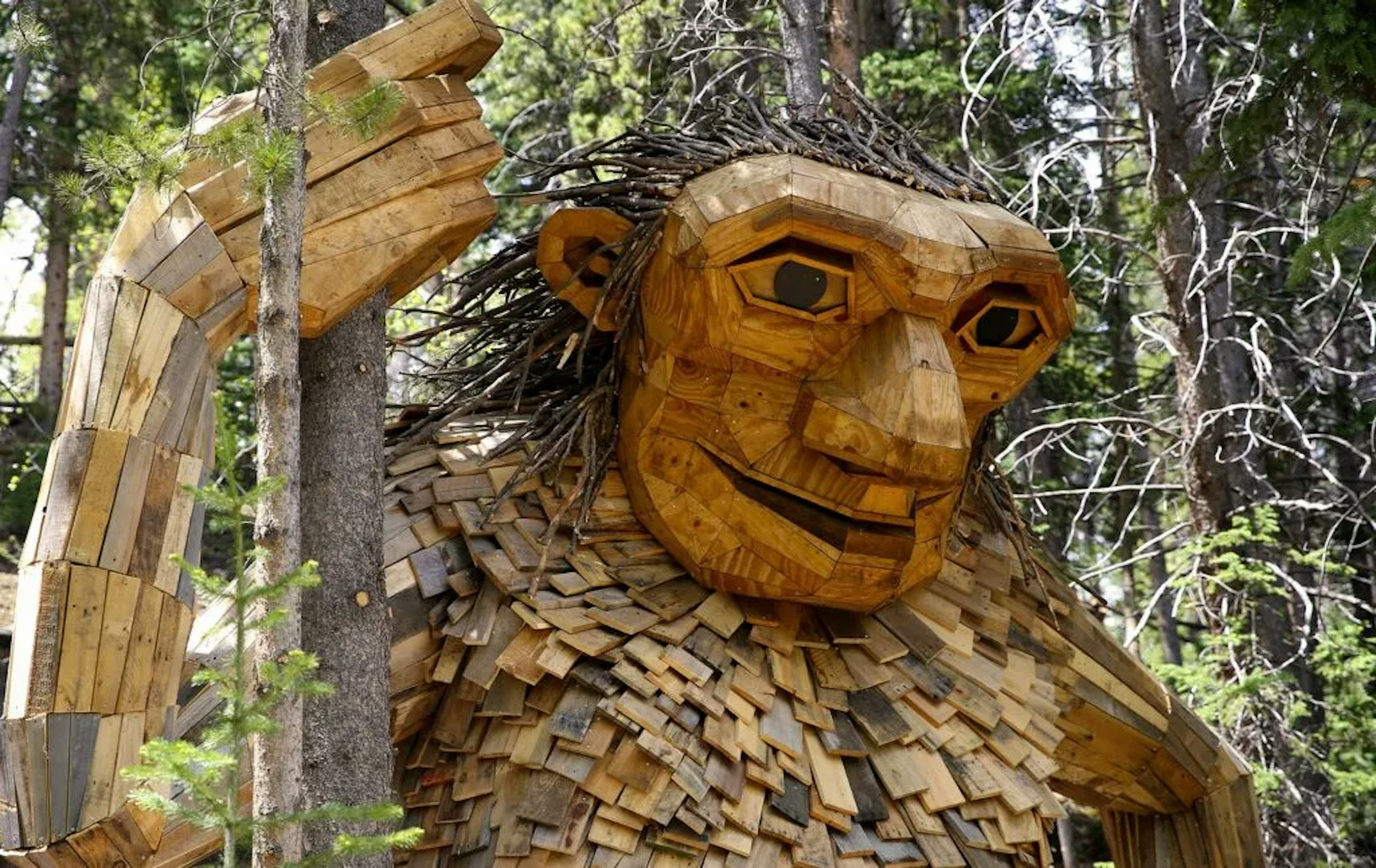 Breckenridge Troll, photo