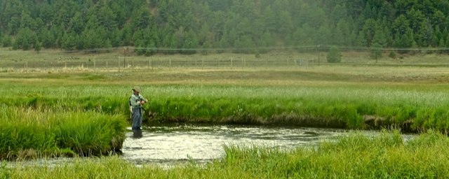 Breckenridge Outfitters Fly Fishing Trip image 4
