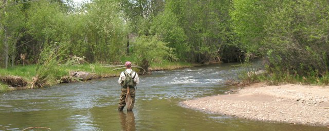 Breckenridge Outfitters Fly Fishing Trip image 5