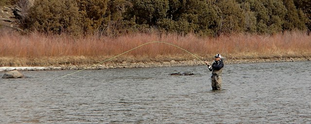 Breckenridge Outfitters Fly Fishing Trip image 7