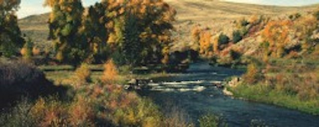 Breckenridge Outfitters Fly Fishing Trip image 6