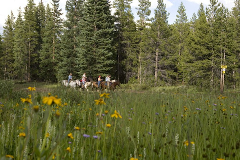 Breckenridge Stables image 3