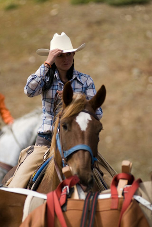 Breckenridge Stables image 4
