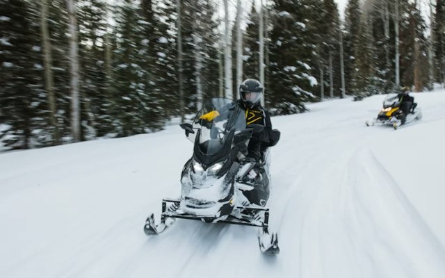 Dog Sledding with Good Times Adventures image 6