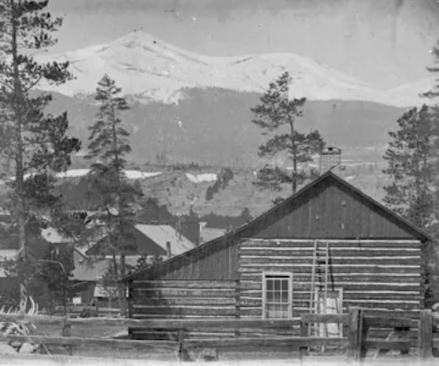 Edwin Carter Museum image 5