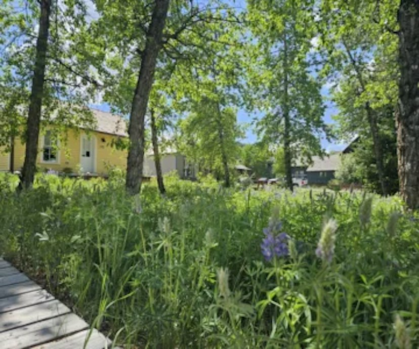 Alice G. Milne Memorial Park image 2