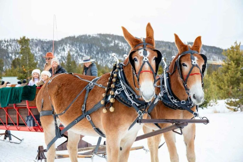 2 Below Zero Sleigh Rides image 1