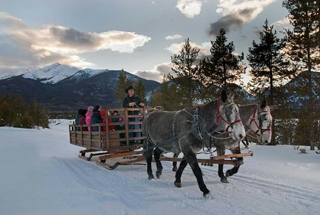 2 Below Zero Sleigh Rides image 6