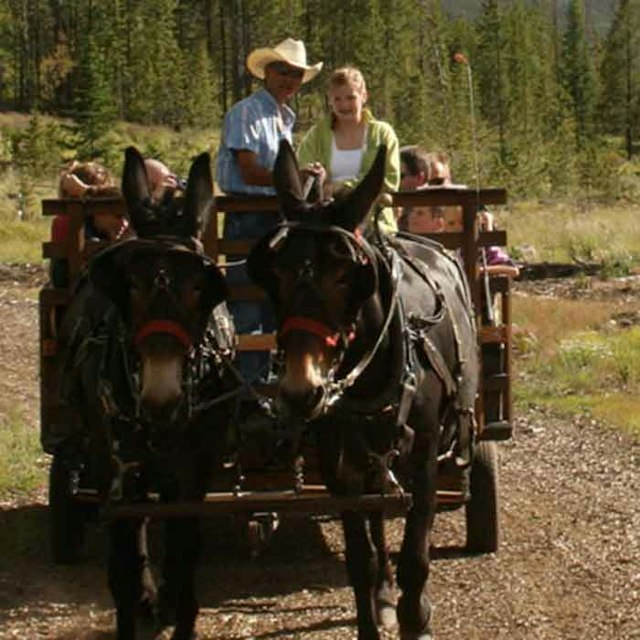 2 Below Zero Sleigh Rides image 5