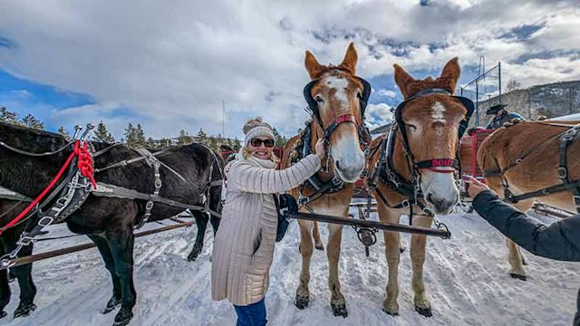 2 Below Zero Sleigh Rides image 8