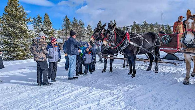 2 Below Zero Sleigh Rides image 11