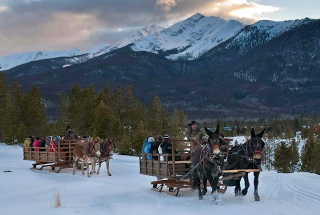 2 Below Zero Sleigh Rides image 12