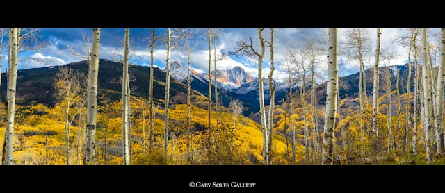 Gary Soles Gallery image 5