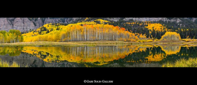 Gary Soles Gallery image 6