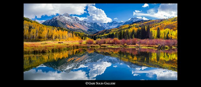 Gary Soles Gallery image 8