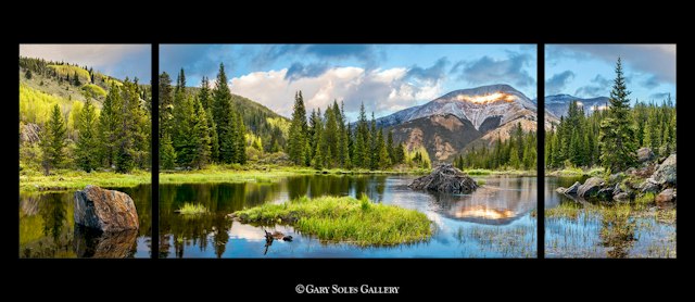 Gary Soles Gallery image 9