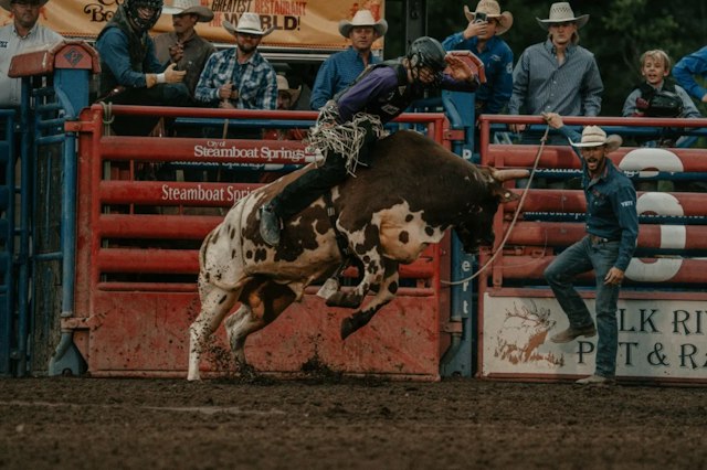 Pro Rodeo Series image 1