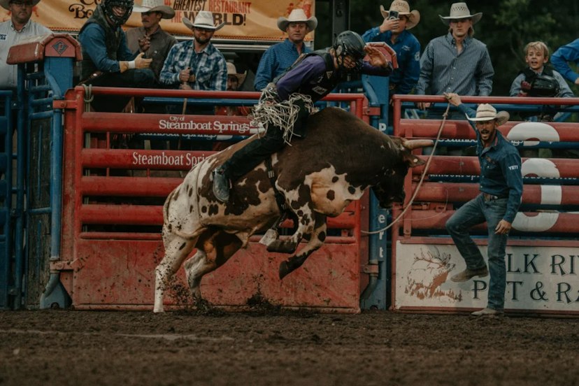 Pro Rodeo Series image 1