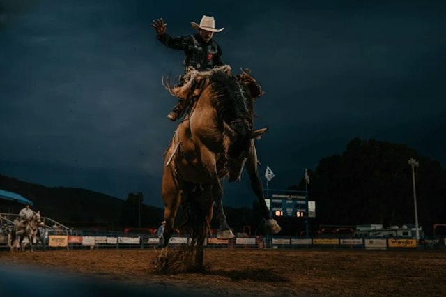 Pro Rodeo Series image 3