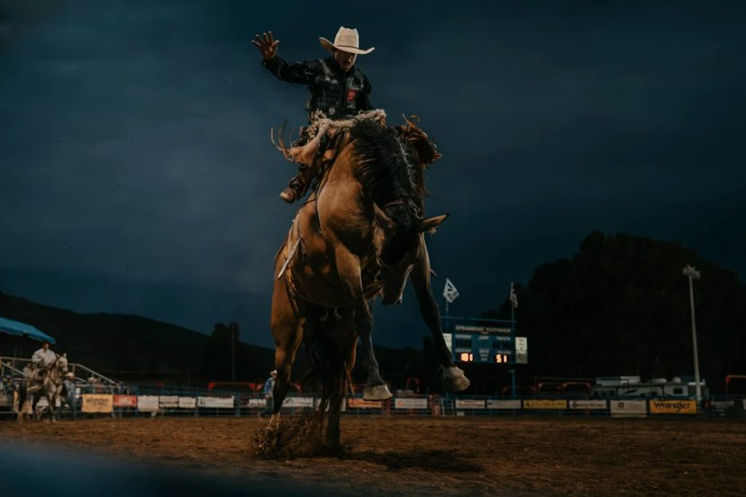 Pro Rodeo Series image 3