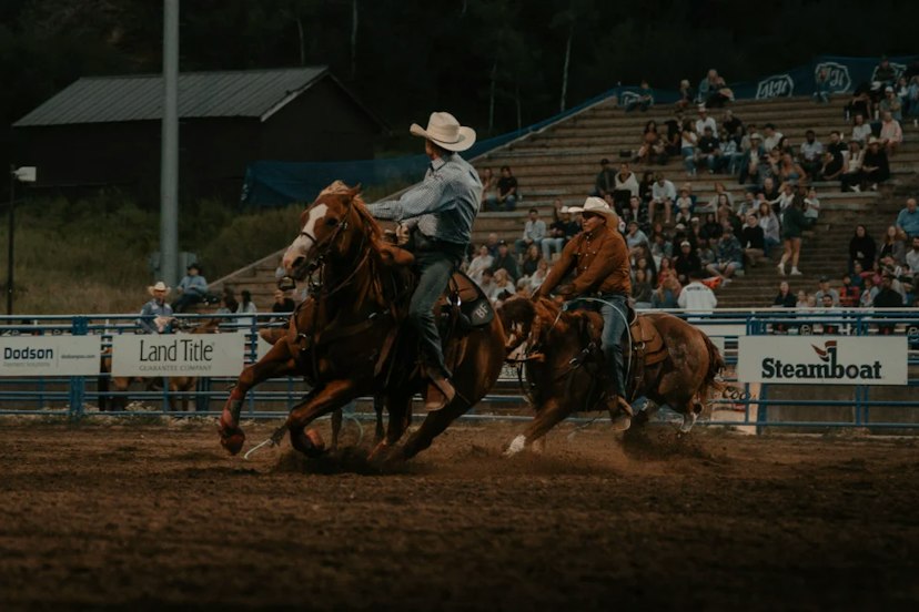 Pro Rodeo Series image 2