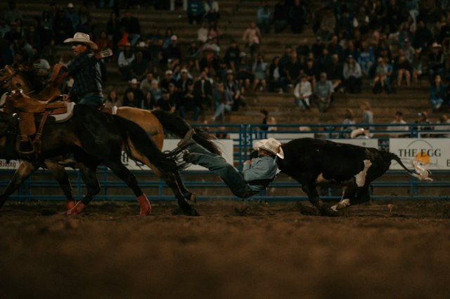 Pro Rodeo Series image 6