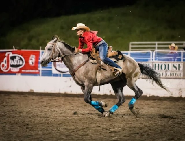 Pro Rodeo Series image 5