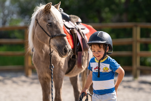 CR Summit Ranch & Riding Center image 3