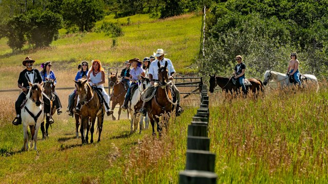CR Summit Ranch & Riding Center image 7