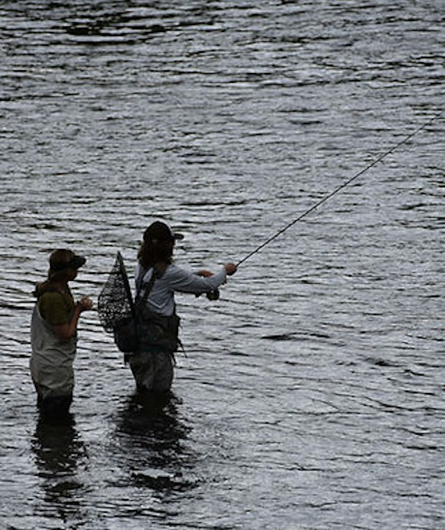 Straightline Sports image 2