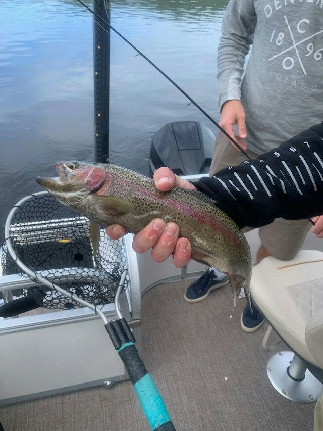 Fishing in Steamboat image 7